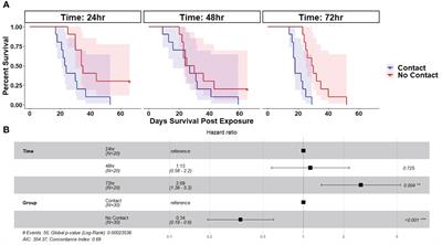 Batrachochytrium salamandrivorans is necronotic: carcasses could play a role in Bsal transmission